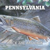NEW! "Back the Brookie" License Plate