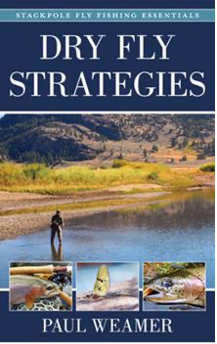 Dry Fly Strategies by Paul Weamer – PA Trout