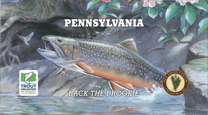 NEW! “Brookie” Refrigerator Magnet
